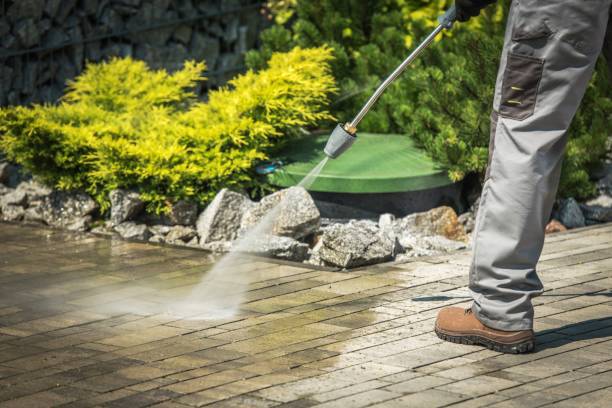 Best Gutter Cleaning  in Atascocita, TX